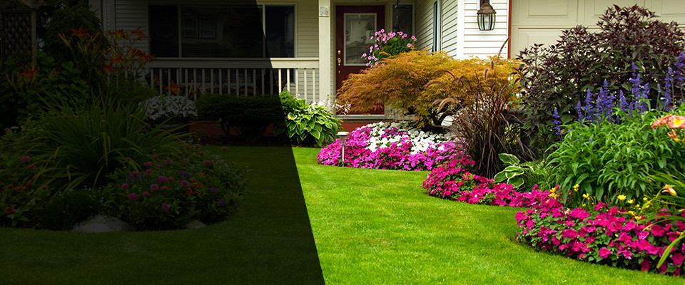 Westfield Landscapers